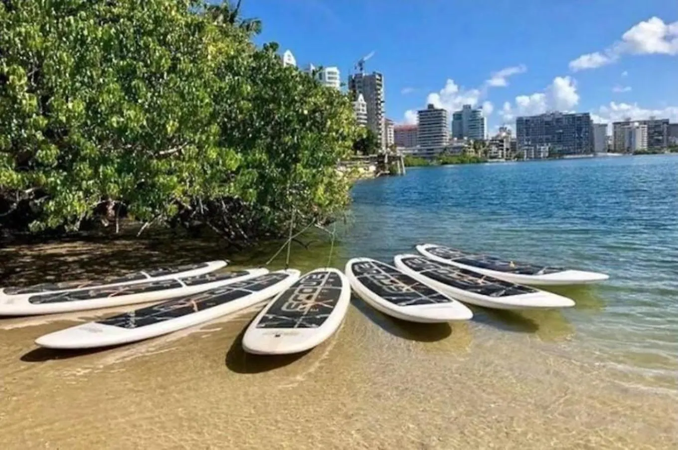 V1 Pr Rentals Big Apartment For Groups San Juan 0*,  Portoriko